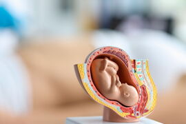 Portrait von Dr. med. Verena Meyer-Rahe